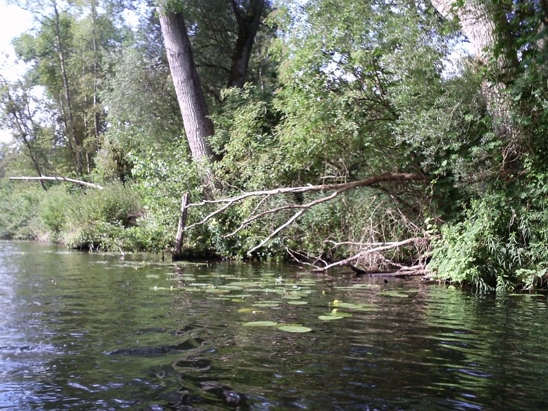 WakenitzMan P Schimming 120